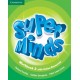 Super Minds 2 Workbook with Online Resources 